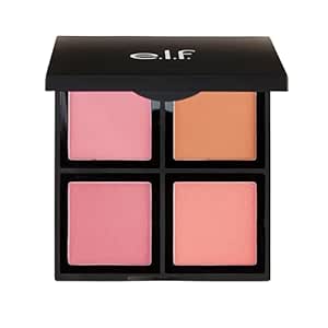 Blush palette $10