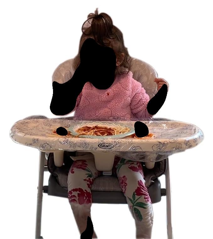 Disposable high chair liners $8.99