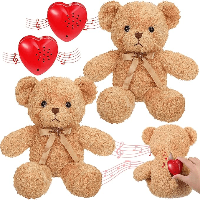 Teddy bear with voice recorder